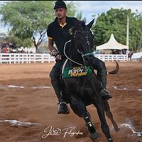 luisrocha3110