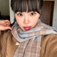 loopxfancams