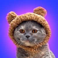 оригінальний звук