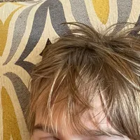 original sound - rexy.boy1