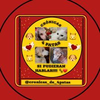 cronicas_de_4patas
