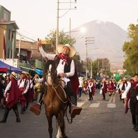 Montonero Arequipeño