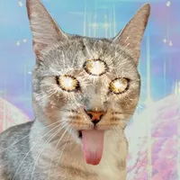 original sound - microplasticcat