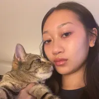 Janes love song on the ukulele