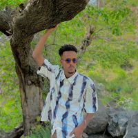 zer_taajiri
