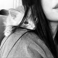 quatll