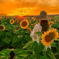 original sound - mushiii_09