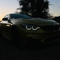 dips_gp