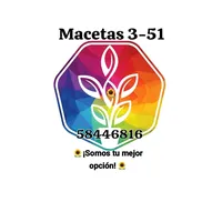 original sound - macetas351