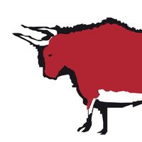 macelleriaguglielmin