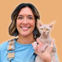 thecharlestoncatgroomer