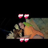 chocolateportela33