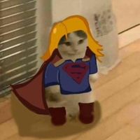 melissabenoist_2