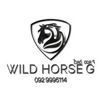 wild.horseg