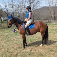 whiskey.the.horsee