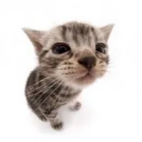 original sound - tengo_ticks