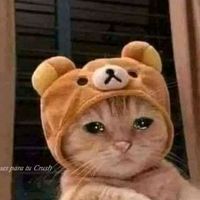 andotriste.0