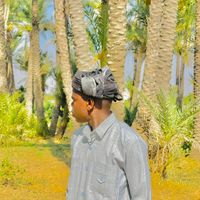 hamodi0600