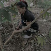 estrelita2025