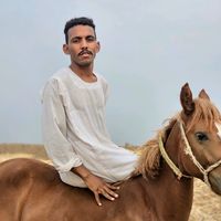 الصوت الأصلي