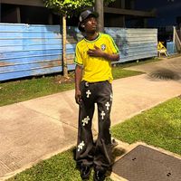 ferby_vdr18