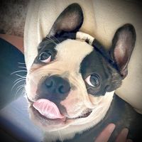 jellybeanwithgummybear