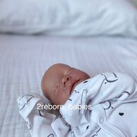 2reborn_babies