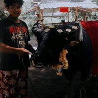wuttipongyodses