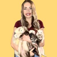 thatferretlady