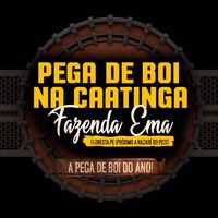 pegadeboidafazendaema