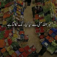 original sound - hamza_jan755