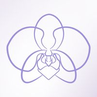 orchideaperu