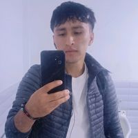 alber_er