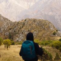 оригинальный звук