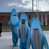 sharkienado