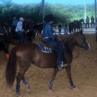 marianalopes67725
