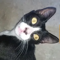 original sound - chanuu522