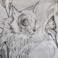 skyleepeck575