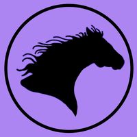 hobby.horse_and_game