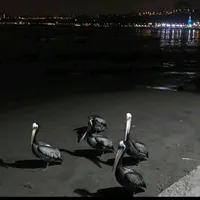 original sound - sr_sanchez.10