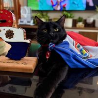 mboppy_elgatitonegro