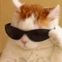 original sound - gato_lyrics