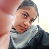 zinnia_er0