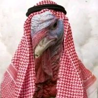 dr.saraqal