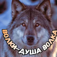 original sound - volki_dusha_volka