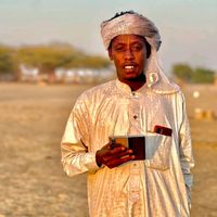 الصوت الأصلي