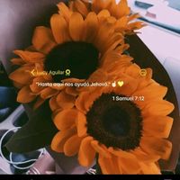 lidialares08