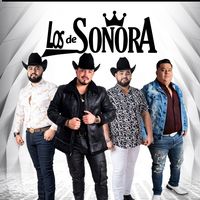 losdesonoraoficial