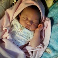 zii.zii.hates.school