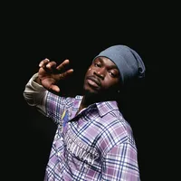 original sound - timidre